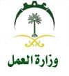 وزارة العمل : لا أساس في احتساب عدد النساء في نسبة السعودة