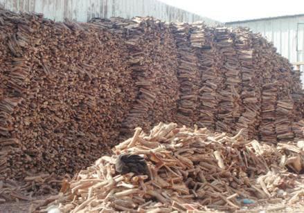 غدا يبدأ منع بيع الحطب والفحم المحلي