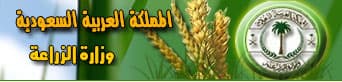 ‏"الزراعة" تغرم 5 مشاريع دواجن بمبالغ تراوح من 15 إلى 242 ألف ‏ريال