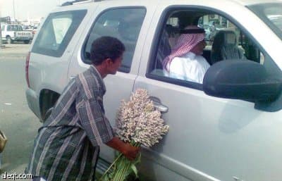 "الخضير".. طعم "الذرة" قبل النضج يزيد متعة "الجازانيين" بالمطر