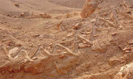 درب " أبا القد" .. مدخل الرياض الرئيسي في طي النسيان