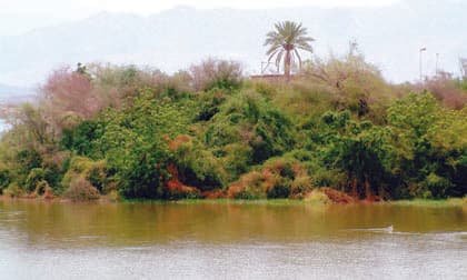 أبو عريش.. تترقب السياح والمستثمرين