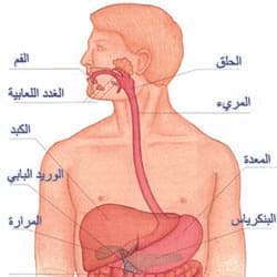 علاج دوالي المريء بالمنظار من أحدث التقنيات فعاليةً وأكثرها أماناً