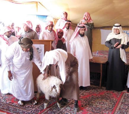 اختتام فعاليات ملتقى الخيمة الشتوية في مجمع الأمير سلطان
