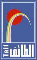 "الطائف للسياحة والاستثمار" تكشف توجها للدخول مع شركاء استراتيجيين