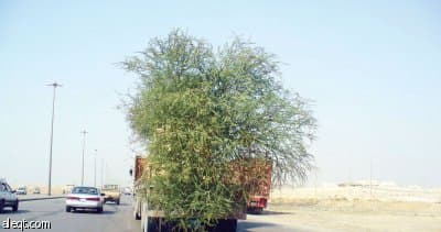 قبل الوقوع!
