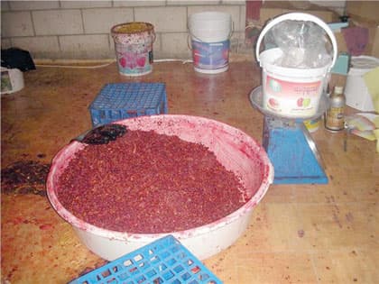 كشف مصنعين لـ "المعسل" يستخدمان ألواناً ونكهات ممنوعة دولياً