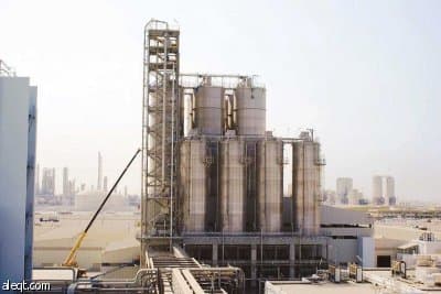 في غياب التكامل.. إغلاق مصانع وتسريح موظفين