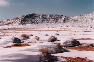 تبوك : أمطار غزيرة والثلوج تغطي الجبال