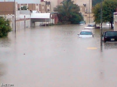 الأرصاد: توقعات أندروا بفيضانات في المملكة "كلام فاضي"