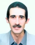 أزمة الصحف اليومية في الغرب وتطورات الإعلام الجديد