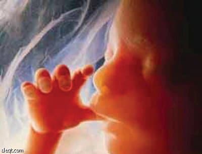 التشخيص الجيني للأجنة يساعد في معرفة الأمراض الوراثية مبكراً