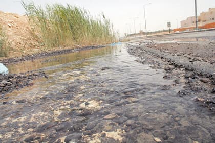 خطر المستنقعات