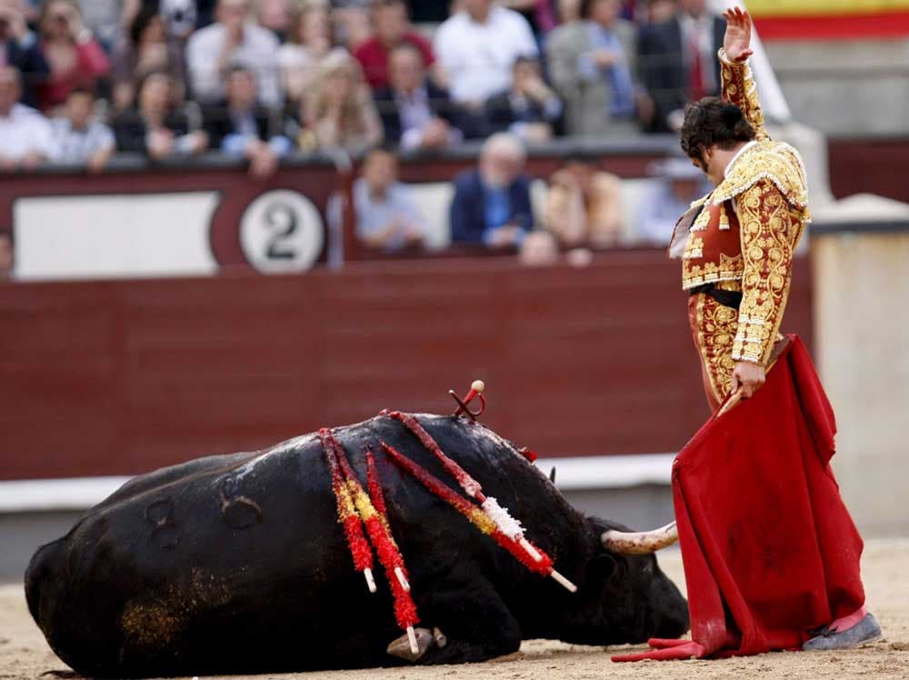 الاسباني  بويبلا دي يحتفل بعد قتله أحد الثيران وسط حلبة مصارعة الثيران في مدريد