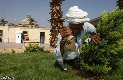 من المتوقع أن يزور الرئيس الأمريكي أهرامات الجيزة بعد أن يلقي خطاب في جامعة القاهرة خلال زيارته لمصر.