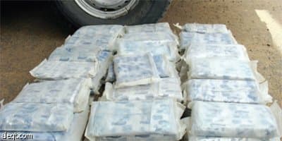 الجمارك تضبط كميات من المخدرات تعد الأكبر في تاريخها
