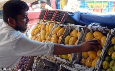 تعد باكستان خامس أكبر منتج وثالث أكبر مصدر للمانجو في العالم وتصدر 1.674.000 طن سنويا لدول الخليج وخصوصا السعودية.