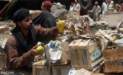 تعد باكستان خامس أكبر منتج وثالث أكبر مصدر للمانجو في العالم وتصدر 1.674.000 طن سنويا لدول الخليج وخصوصا السعودية.