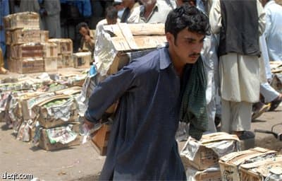 تعد باكستان خامس أكبر منتج وثالث أكبر مصدر للمانجو في العالم وتصدر 1.674.000 طن سنويا لدول الخليج وخصوصا السعودية.
