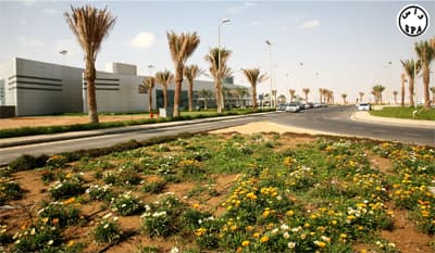 الطيران المدني: تكلفة مطار ينبع 210 مليون ريال والملك سيدشنه