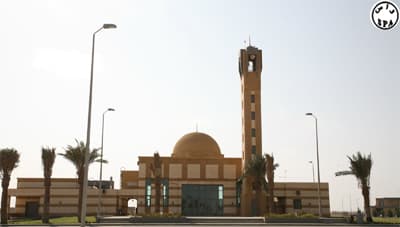 الطيران المدني: تكلفة مطار ينبع 210 مليون ريال والملك سيدشنه