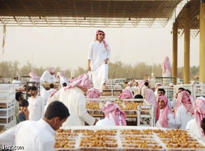 «تمور بريدة» توفر فرصا وظيفية موسمية.. والشباب يرمون الخجل