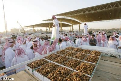 أكبر صينية لعرض التمور في العالم