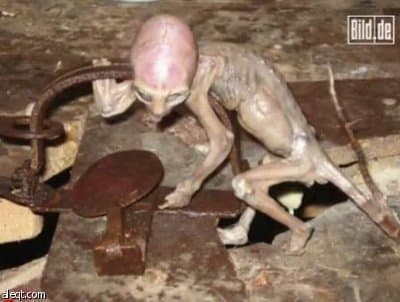 تلفزيون المكسيك يزعم اكتشاف طفل من كوكب آخر في مزرعة