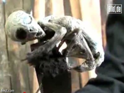 تلفزيون المكسيك يزعم اكتشاف طفل من كوكب آخر في مزرعة