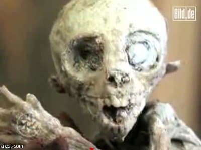 تلفزيون المكسيك يزعم اكتشاف طفل من كوكب آخر في مزرعة