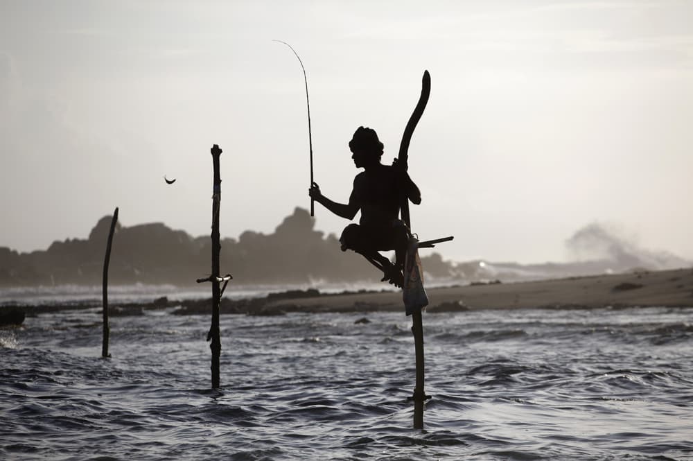 صيادون (STICK FISHER) يصطادون ويجلسون على العصى للصيد في وسط البحر ويعدون أحد المعالم الرئيسة في سيرلانكا.