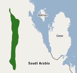 لمنع الاحتباس الحراري..السعودية تحقن "الغوار" بثاني أكسيد الكربون