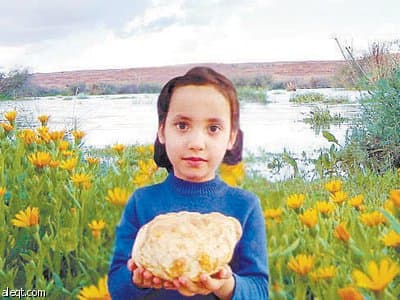 الوسم يحل .. المراصد العالمية تعطي السعودية أمطاراً فوق المعدل