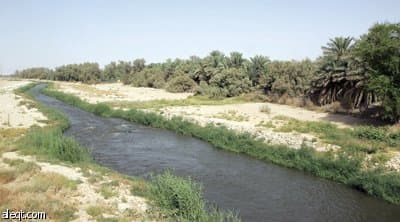 مزارع في جنوب الرياض تسقي التمور والخضار بمياه المجاري