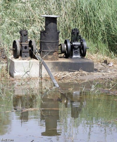 مزارع في جنوب الرياض تسقي التمور والخضار بمياه المجاري