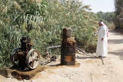 مزارع في جنوب الرياض تسقي التمور والخضار بمياه المجاري