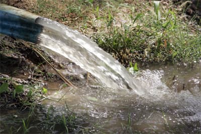 مزارع في جنوب الرياض تسقي التمور والخضار بمياه المجاري