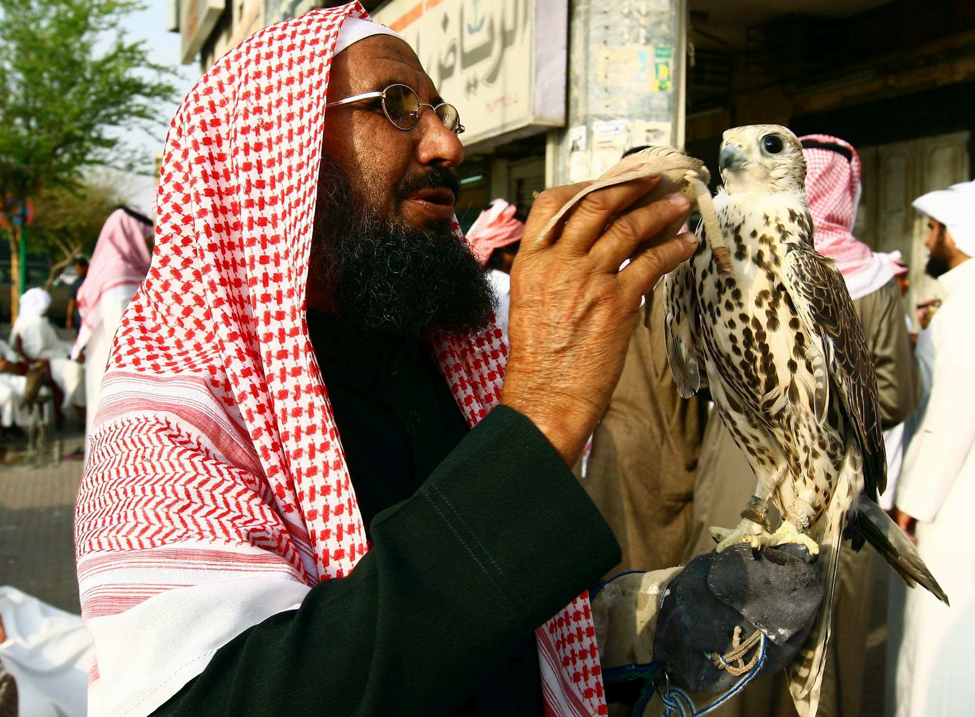 سعوديون يعرضون الصقور للبيع في أحد أسواق الرياض