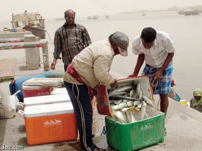 مهنة صيد السمك.. تندثر