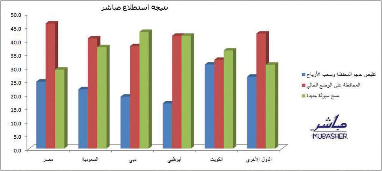 45 % من المستثمرين العرب لن يضخوا سيولة إضافية في الأسواق المالية