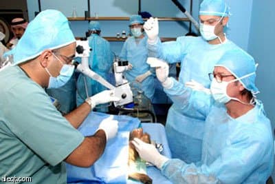 تجربة علمية جديدة في العوامل المحفزة وبناء العظام في جامعة الملك سعود