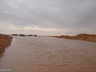 أهالي رفحاء يقضون عطلة العيد في المخيمات البرية