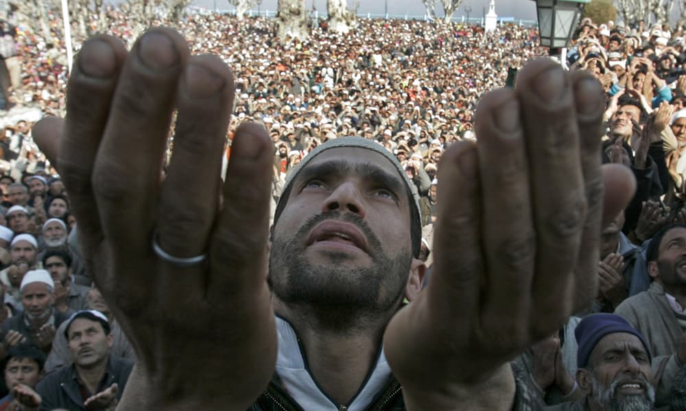 مجموعة من الصور المختارة كأفضل صور "RNPS" لعام 2009م.