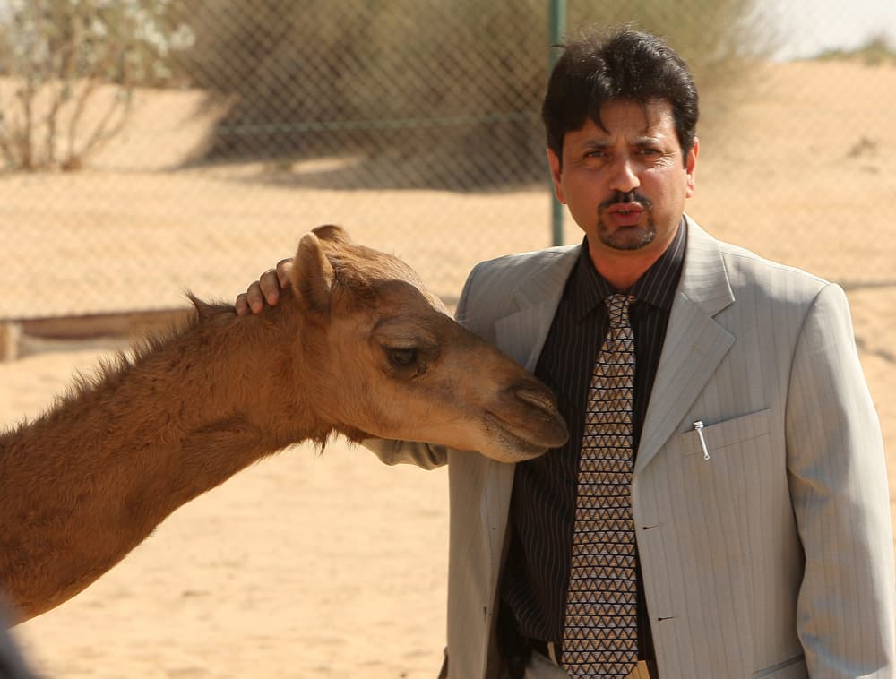 أثمرت جهود علماء مركز "استيلاد الهجن" المتواجد في دبي عن ولادة أول جمل مستنسخ في العالم, وأطلق العلماء على الجمل المستنسخ اسم "إ