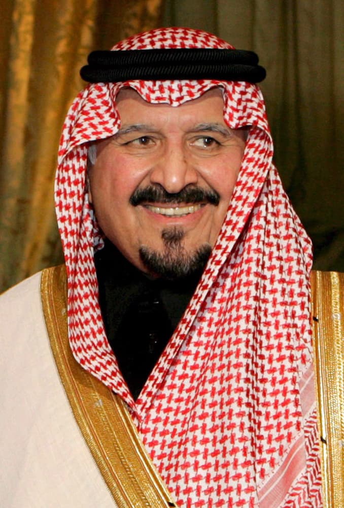سلطان الخير على أرض الوطن