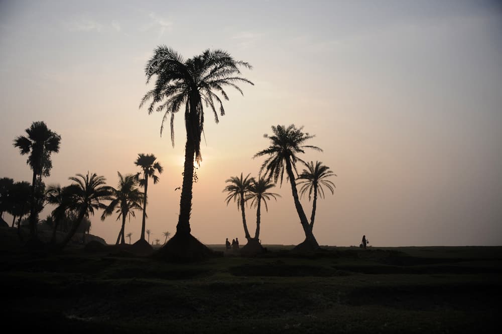 جزيرة غورامارا الهندية تقلصت على مدى السنوات الـ25 الماضية إلى الضعف تقريبا (من 9 كلم إلى 4.7 كلم) وذلك بسبب تغير المناخ وارتفاع