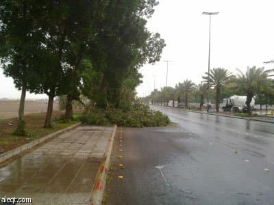 مراقبة وادي قوس.. وإخلاء بعض أحياء شرق جدة في حال جريانه 