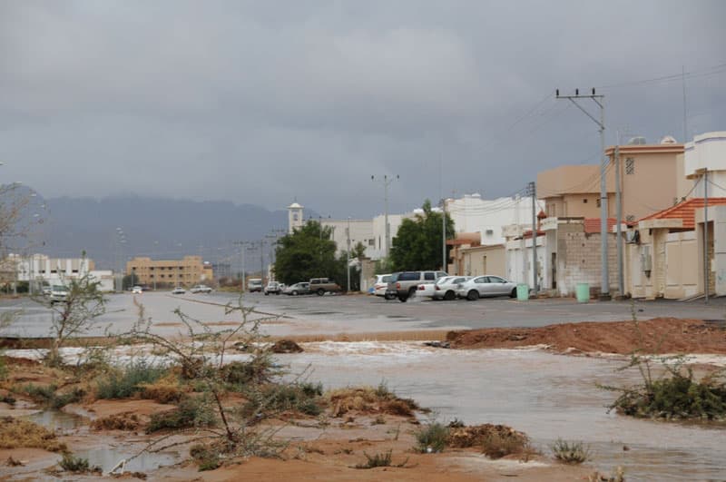 مراقبة وادي قوس.. وإخلاء بعض أحياء شرق جدة في حال جريانه 