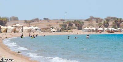 سواحل البحر الأحمر تنتظر النقاهة والعلاج البيئي