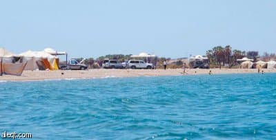 سواحل البحر الأحمر تنتظر النقاهة والعلاج البيئي